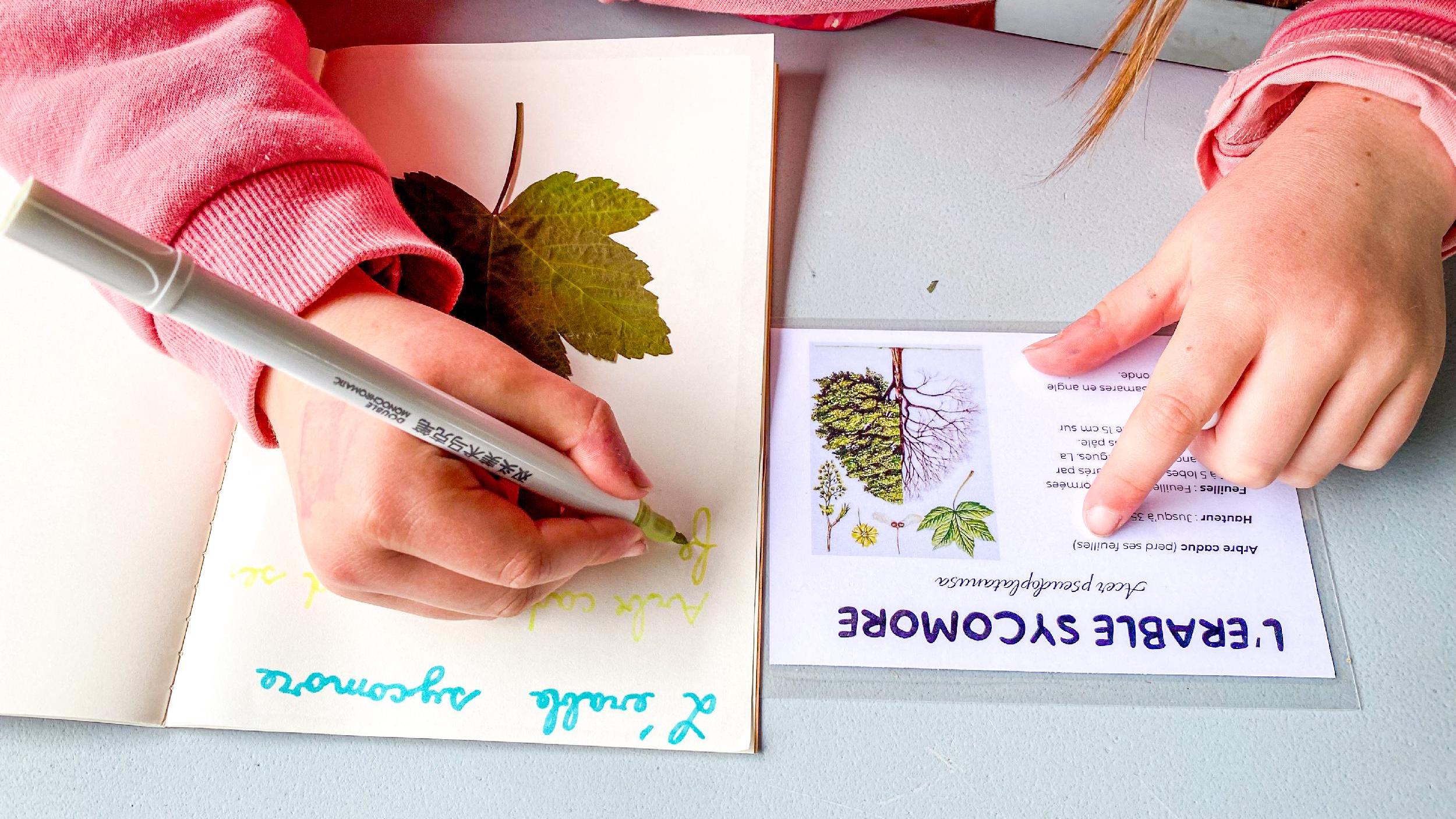fete des plantes 2024 2